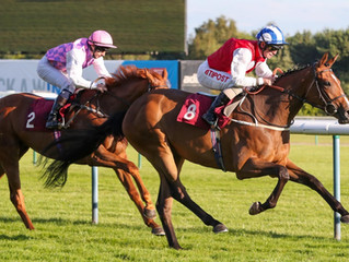 West End Girl Tops Tattersalls Online Auction