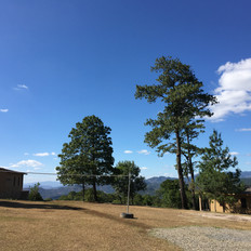 28E2F375-BD89-4EAB-8EF1-49CA37960333.jpeg
