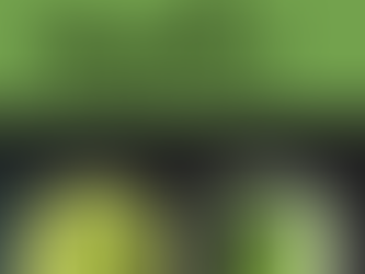 Grade of Matcha