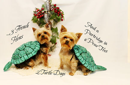 Kids Christmas CArd 2018 copy.jpeg