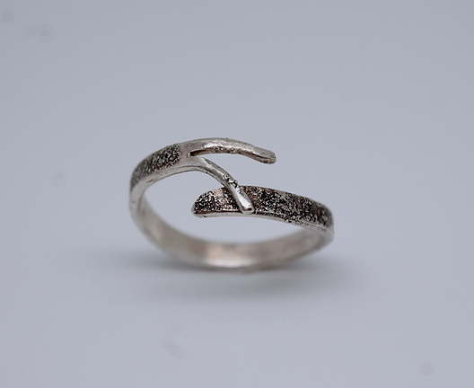 Poussière d'étoile