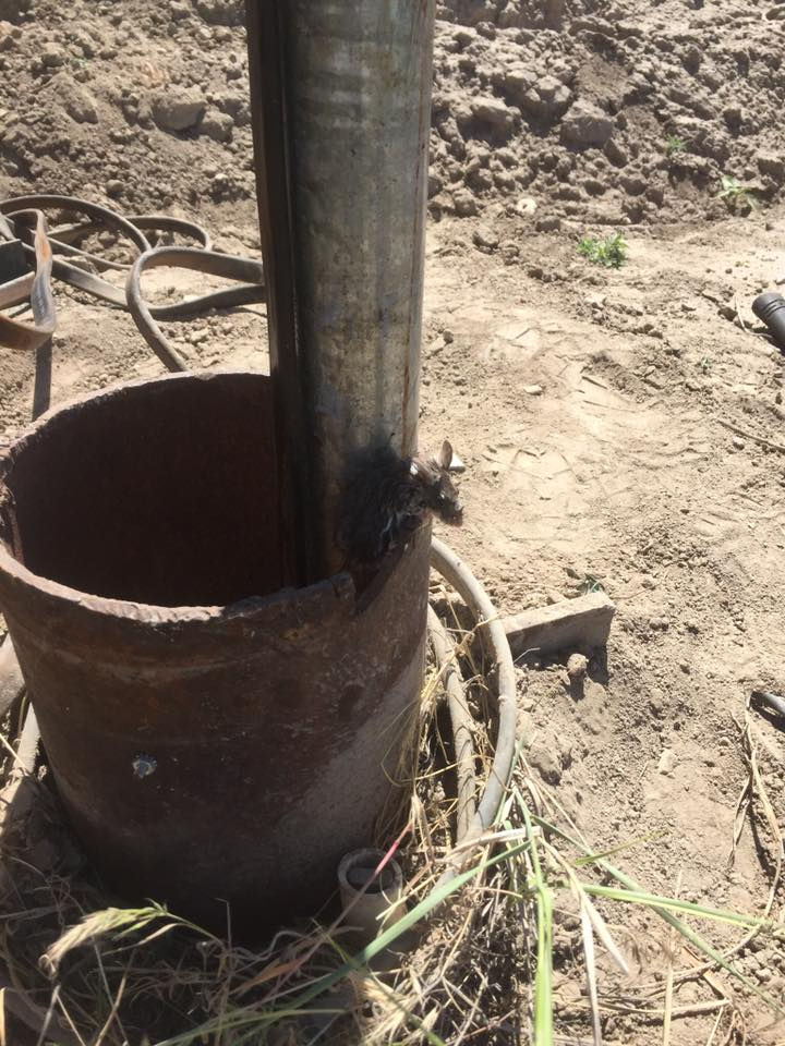 Importance of a Proper Well Cap