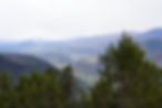 DSC04611.JPG