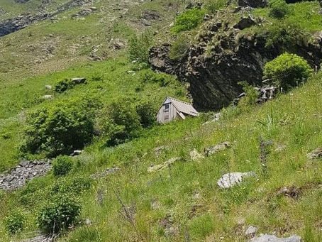 Chroniques d’alpage 🐑 #5