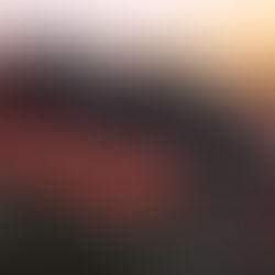 Paintseal Australia: Going from Strength to Strength