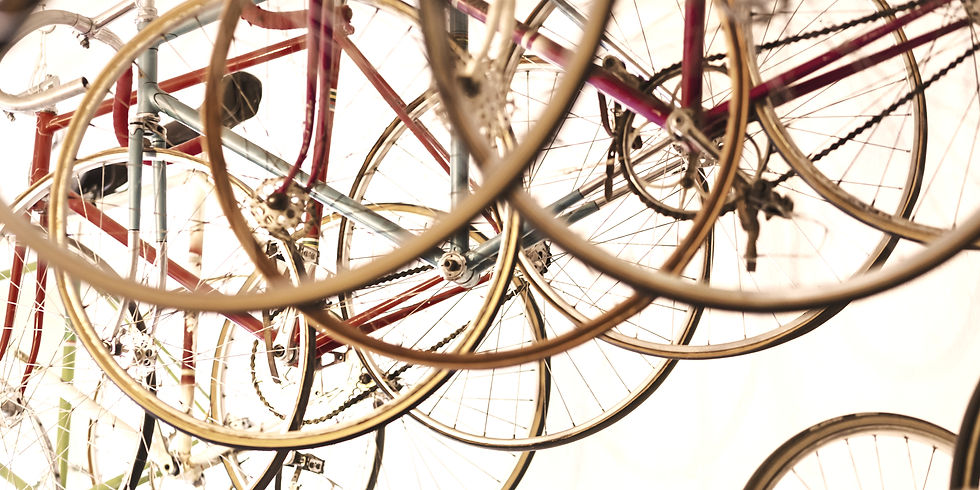 Colorful Bicycle Wheels