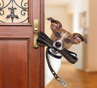 shutterstock_556414654.jpg