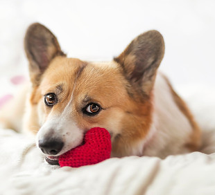 shutterstock_2060896265_edited.jpg