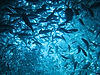 AdobeStock_6172664.jpeg
