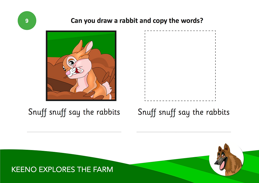 Draw and write (RABBIT)