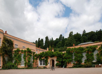 Killerton House Grounds 3.jpeg