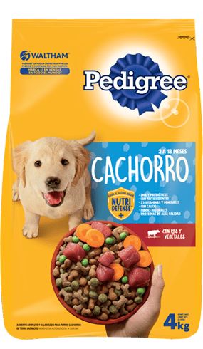 Miniatura: Pedigree
