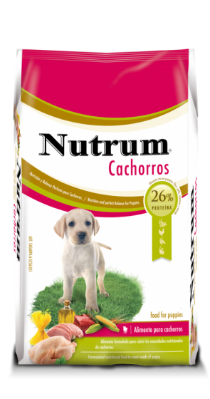 Miniatura: Nutrum