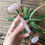 Thumbnail: Crystal facial roller- rose quartz 