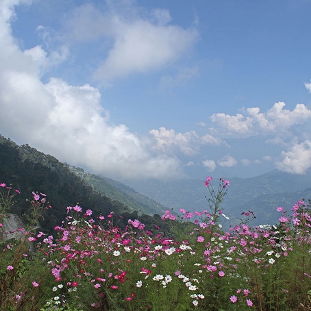 7 Places to Visit in September in India for an Unforgettable Vacation