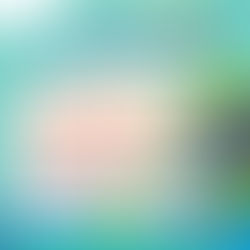 รู้หรือไม่…พลังงานแสงอาทิตย์ช่วยลดโลกร้อนได้อย่างไร? 