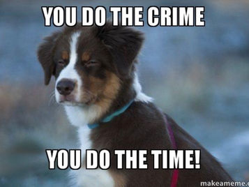 Do the Crime, Do the Time