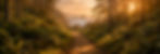 file_00000000695071f8914398b6322c2cf3_edited.jpg