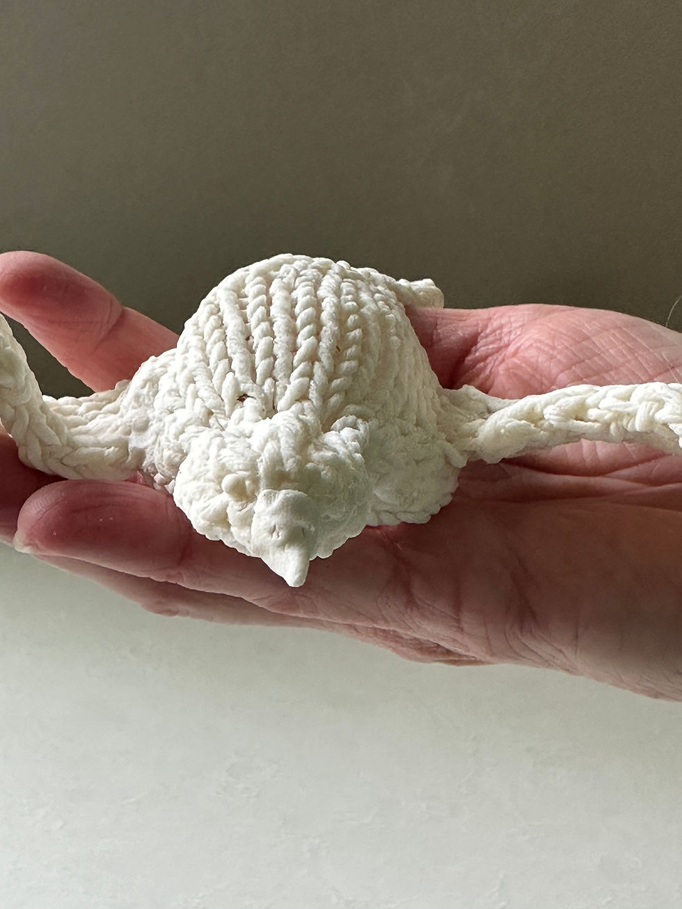 Thumbnail: Flying White Bird