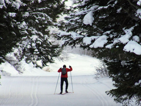 Cross Country Skiing - Teton Canyon 