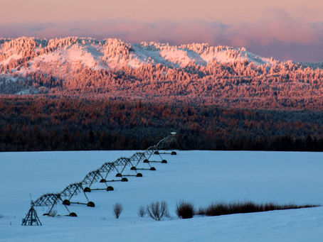 East Idaho's Winter at Golden Hour 