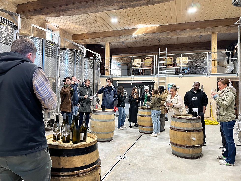 Dégustation vins - Domaine Abbaye de Maizières