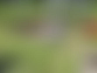 20250705【活動報告】猛暑に負けず!地域の安全・安心を守る一日