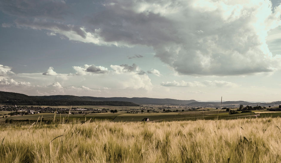Neunkirch Landschaft