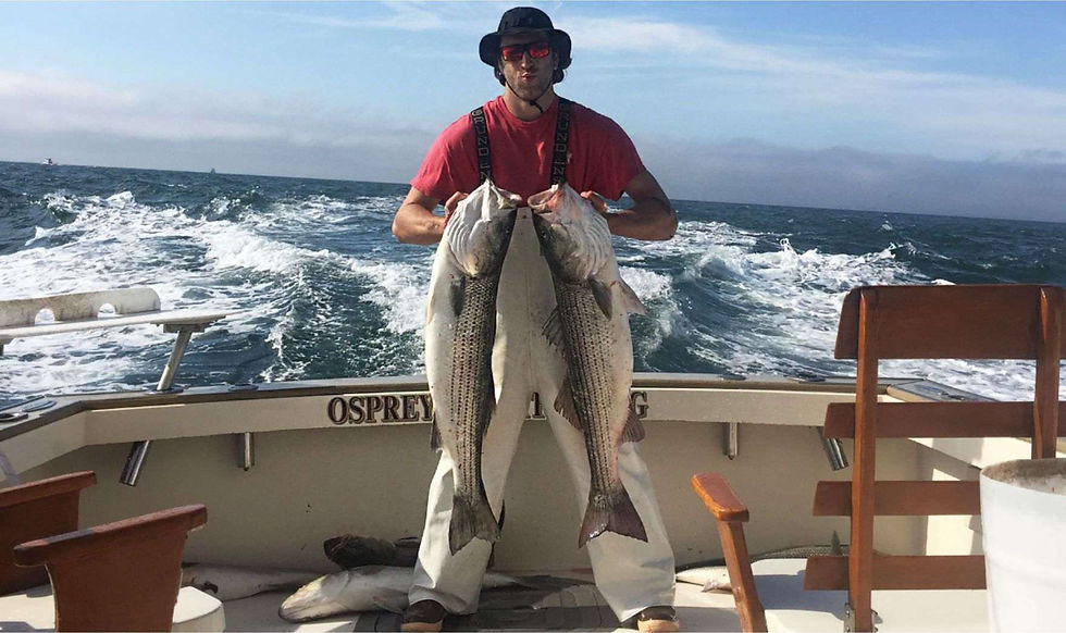 Striper Charter Fishing