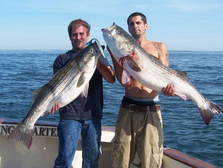 What to Know Before Booking a Connecticut Fishing Charter