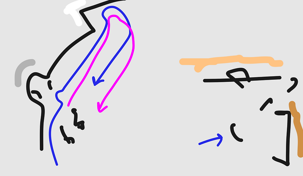 ree