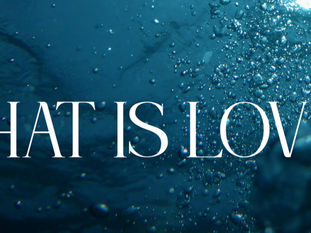 What is Love….