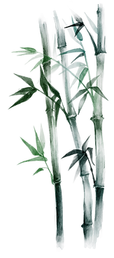 bamboo-1.png