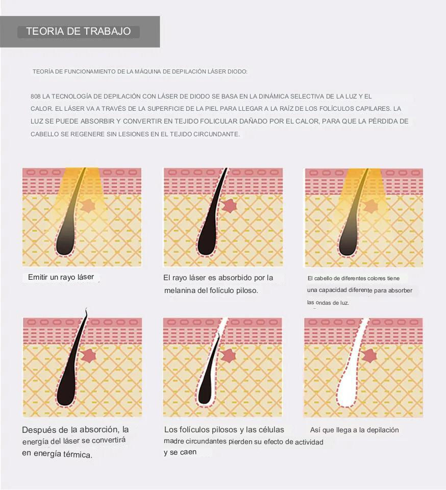 Miniatura: Laser Tridiodo Tipo ZP ice 360 + Picolaser No Invasivo