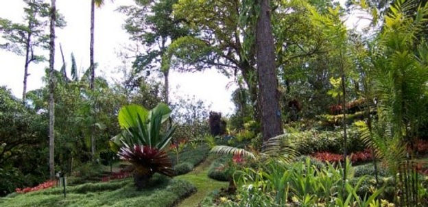 jardinbotanico.jpg