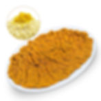 50. Mirzaghasemi (groß)