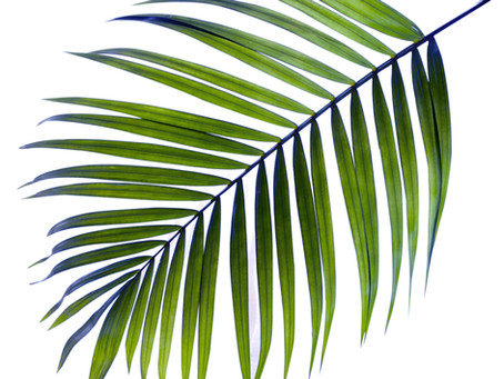 Sermon - Palm Sunday