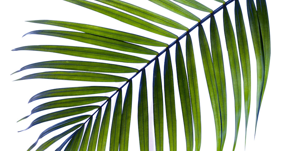 Palm Sunday
