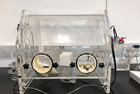 oxygen glovebox.jpg
