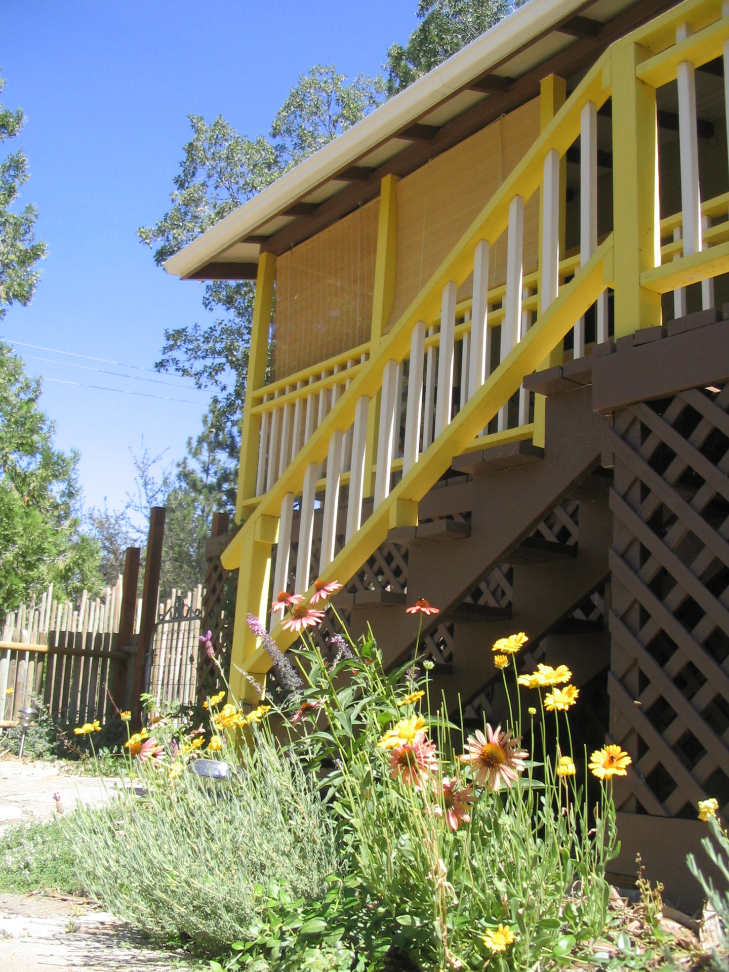 fivespot front garden