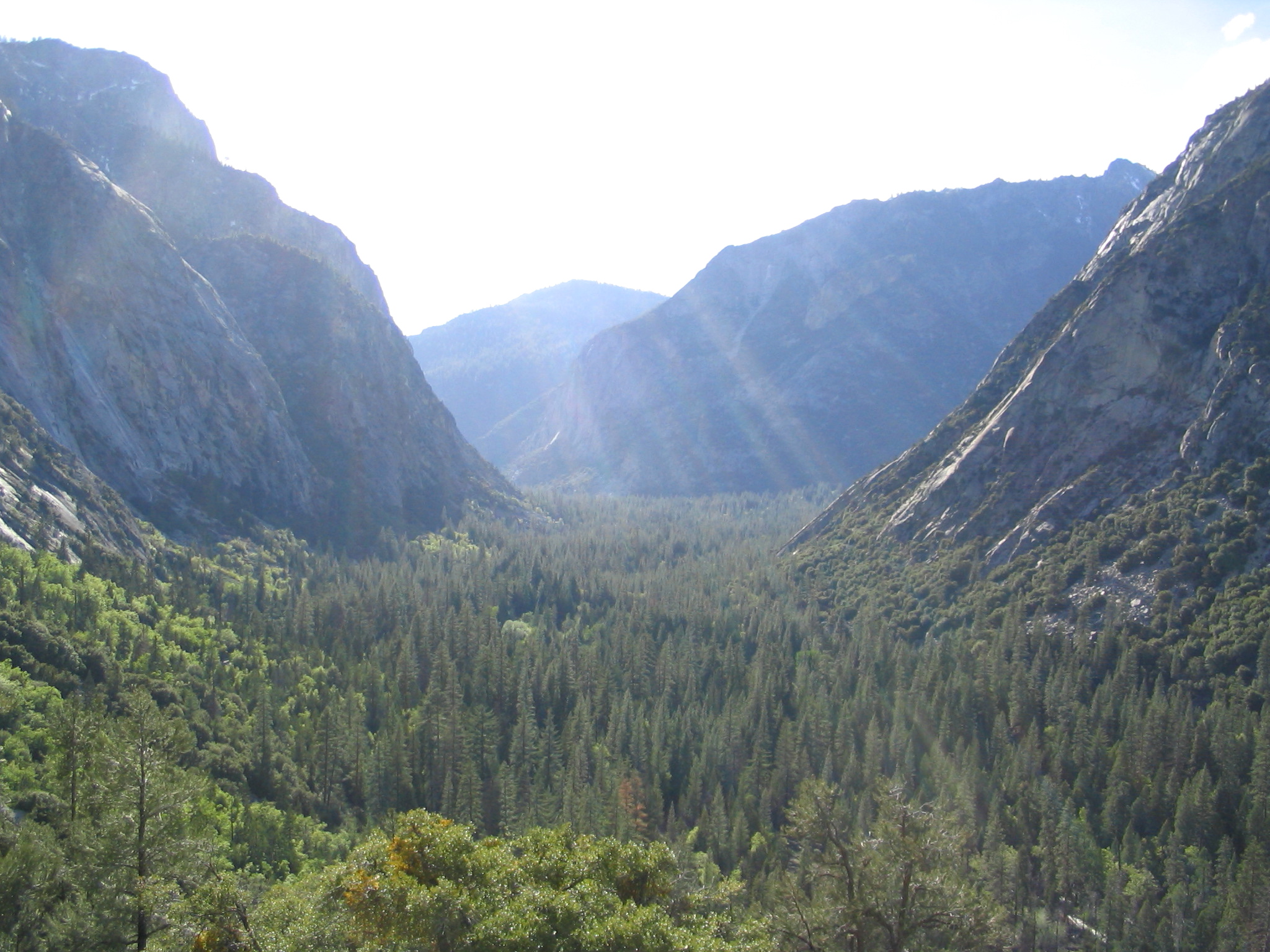 Kings Canyon 3