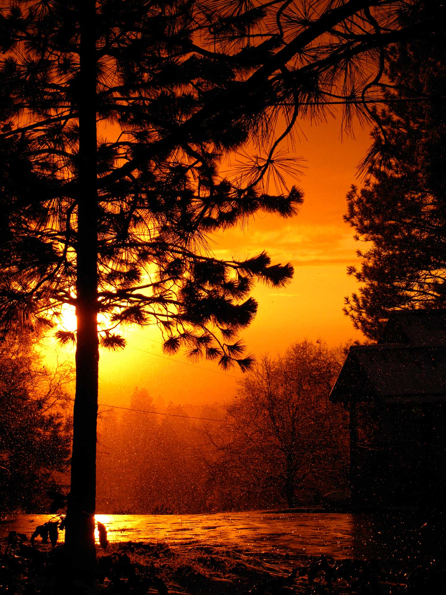 Alpenglow 2