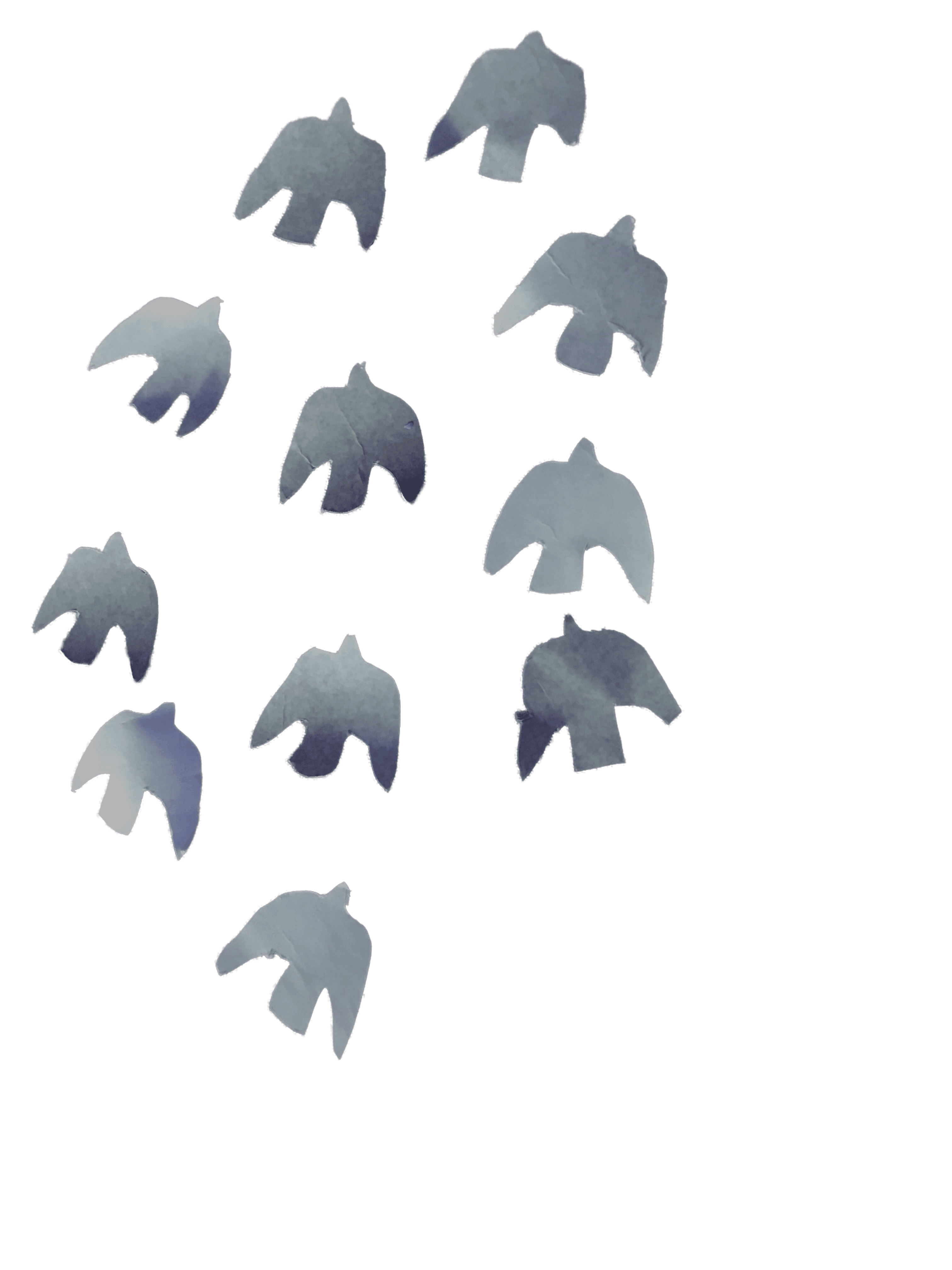 pigeon-animation.gif
