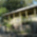 IMG_1641_fivespot_main_square_small.jpg
