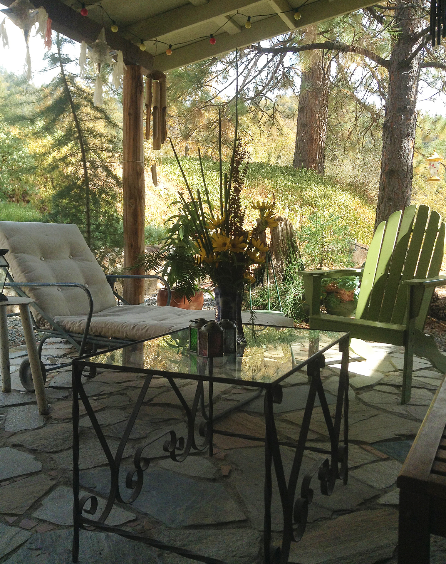 fivespot back patio 1