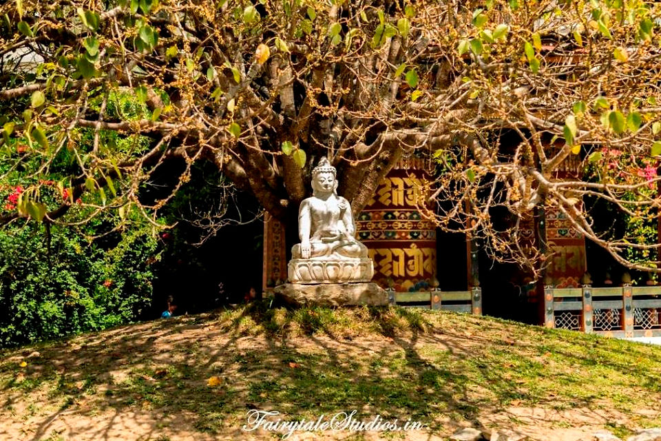 Punakha_Bhutan_Fairytale Travel Blog (13