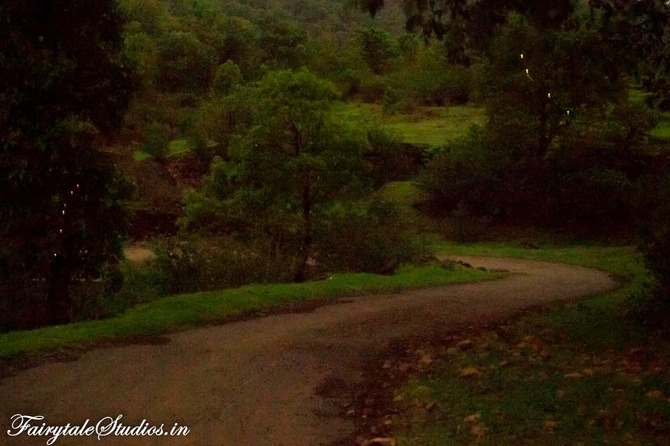 Purushwadi Village_Maharashtra_Fairytale