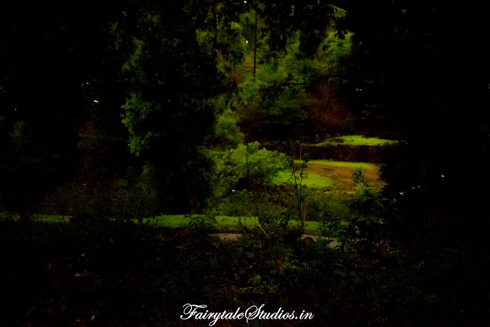 Purushwadi Village_Maharashtra_Fairytale