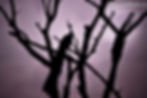 Fairytale Studios - Fine Art