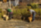 Villagers cleaning streets of Mawlynnong, India - the cleanest village of Asia